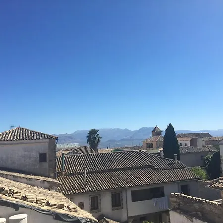 Sol Real